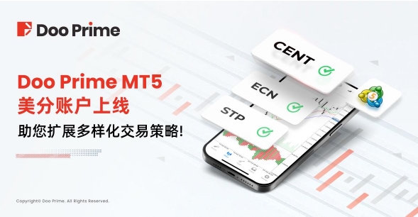 Doo Prime德璞资本 MT5美分账户有哪些优势？